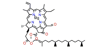 Chlorophyll b